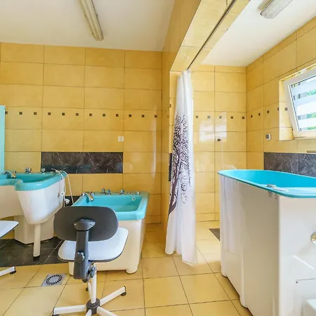 Курортний комплекс Centrum Rehabilitacyjno - Wczasowe Amber *